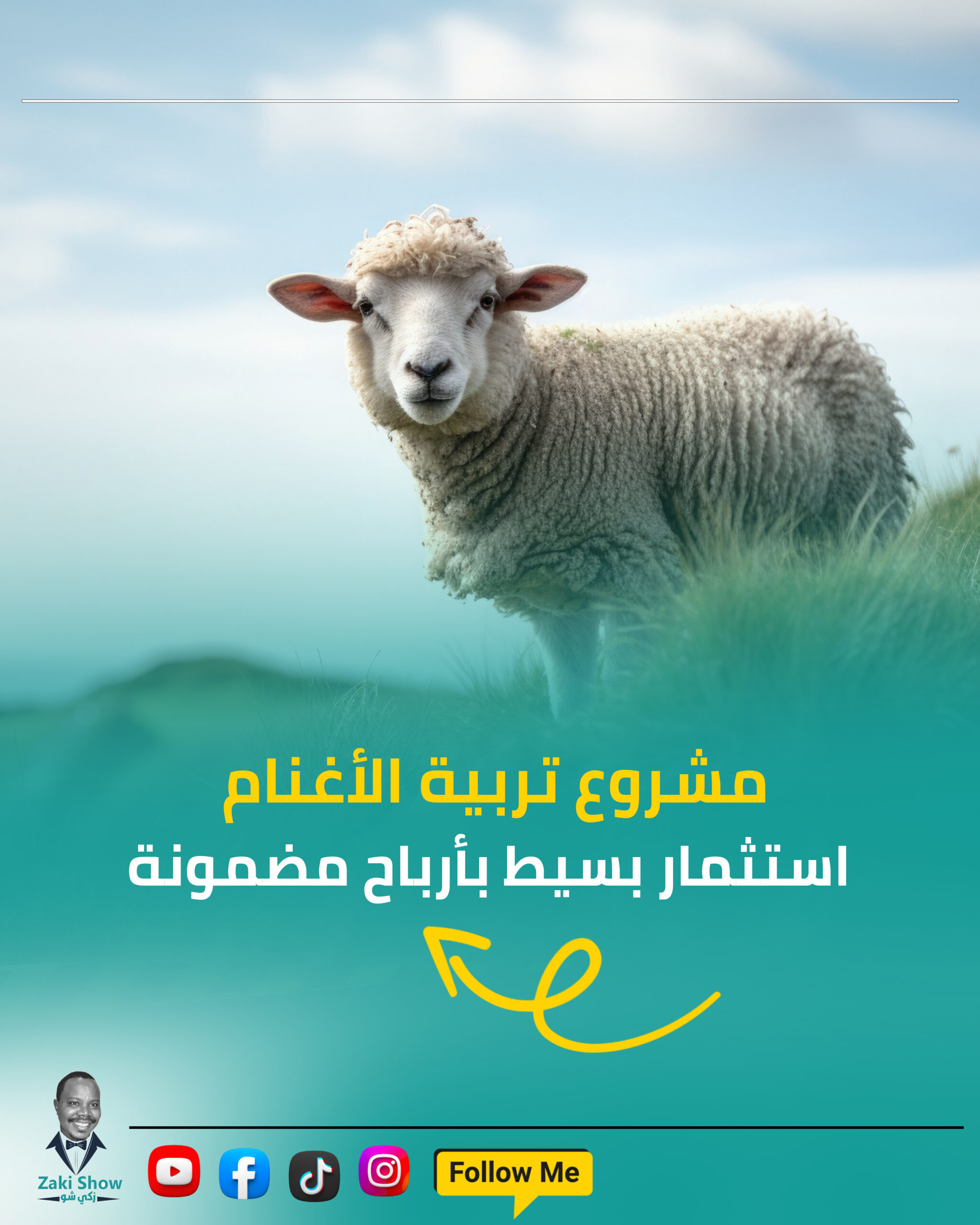 مشروع تربية الأغنام